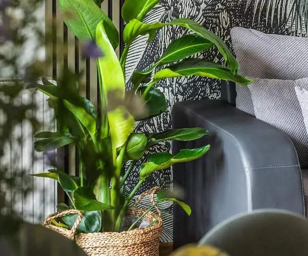 Ts New Town Comfy & Roomy Szczecin